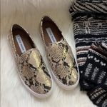 Steve Madden • safary python snakeskin metallic sneakers Photo 41