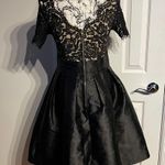 Lucy Wang Fay Eyelash Lace Taffeta Pleated Skater structured skirt Short Sleeve V-Neck Dress Sz XL Photo 4