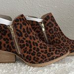 Very Volatile Size 7 Gracemont Genuine Horse Hair Booties In Leopard Print Photo 0