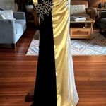 Terani Couture Terani Grecian Prom Gown sz 2 Photo 0