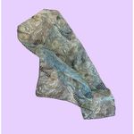 Neutral Floral Print Scarf 🔥 Tan Photo 1