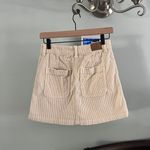 American Eagle Outfitters Corduroy Skirt Photo 1