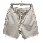 American Eagle Low-Rise Baggy Shorts Size 8 New with Tags Photo 3