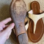 Prada alligator thong sandals cream pink brown Photo 6
