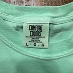 Comfort Colors Mint Tee with Blue Bow and cherry Checkered Design Photo 3