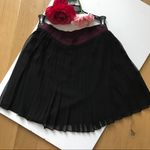Club Monaco  pleated skirt Photo 2