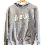 Gildan Indiana University Gray Heavy Blend Hoodie Sweatshirt Size Small S Photo 0