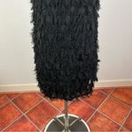 Anthropologie  Roxie Textured Feather Fringe Dress Photo 4