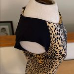 Buffalo David Bitton  Leopard Print dress Photo 6