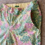 Lilly Pulitzer Palm Beach Fit Shorts Sz 4 Pink Green Floral Flamingo Stretch Photo 2