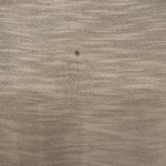 Lauren Moshi Punk Eyes Blouse Women’s White Graphic Scoop Neckline Size XS Photo 11