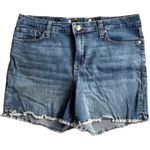 Seven7  Medium Wash Blue Denim Raw Hem Boyfriend Relaxed Jean Shorts Sz 12 Photo 1