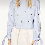 ZARA Pale Blue Fruit Embroidered Top Photo 0