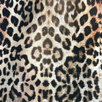 DYI  define your inspiration Leopard Print Leggings Photo 9