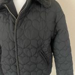 Lazy Oaf jacket Photo 2