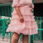 Jessakae NWOT  Blush Pink Tulle Floral Embroidered Midi Harper Dress Photo 1