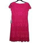 Eliza J  Scalloped Lace Dress - Size 4 - NWT Photo 4
