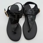 Aerosoles Isa Comfort Casual Flat Thong Sandals Black Snake Faux Leather NWOB 7 Photo 4