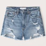 Abercrombie & Fitch  High Rise Mom Shorts Size 28 Distressed Denim Shorts Photo 1