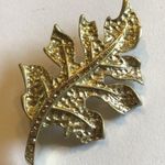 Vintage Gold Tone Leaf Brooch Shoulder Pin Photo 1
