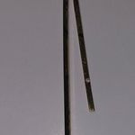 Jennifer Zeuner Nacklace Yellow Photo 5