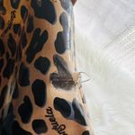 Consuela Bag and Wallet Photo 14