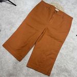 Madewell NWOT  Slim Emmett Wide-Leg Crop Pants Plus Size 37P Photo 3