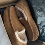 UGG Ascot Slipper Photo 0