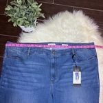 Sofia Vergara Plus Size Skinny Mid Photo 6