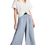 ZARA High Waisted Pleated Wide Leg Pants in Dust Blue Photo 1
