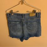 Buckle BKE Parker Denim Shorts Photo 2