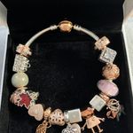 Pandora Bracelet (17 Charms) Photo 0