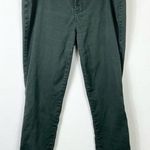 Avenue Dark Green Skinny Jeans Size 16 Photo 0