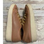 Oasis Society Perforated Lace Up Sneakers Women's Size 7.5 Blush Shoes Fashion Pink Photo 9