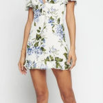 Reformation ‎ | Mya Mini Sundress V Neck Floral Dress in Riviera Size 6 Photo 0