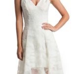 Dress the Population Ivory Dress Photo 0