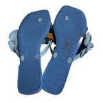 Jeffrey Campbell Fleuris Jelly Flip Flop Blue Floral Thong Sandals Size 10 New Photo 3