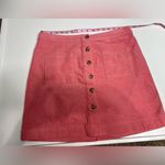Daniel Cremieux Cremieux mini skirt size 14 Photo 1