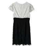 Shoshanna  Floral Lace‎ Sheath Cocktail Dress Short Sleeves Black and White, Sz 6 Photo 5