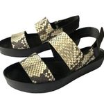 Vince 'Marett' Python Snakeskin Black White LEATHER Platform Size 7M Photo 0
