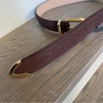 B-low the Belt NWOT Marc Suede Belt in Chocolate Brown Gold Hardware Sz XS Photo 3