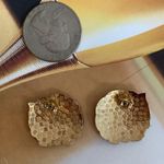 Vintage Cloisonné Earrings Multiple Photo 2