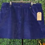 Navy Blue Mini Skirt by FRYE AND CO Size undefined Photo 0