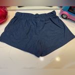 Athletic Works  Navy Blue Shorts Photo 1
