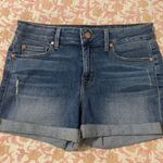 Level 99 Jean Shorts Size 28 Photo 0