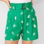 Ann Taylor  Viscose/Linen Blend Embroidered Pleated Paperbag Green Shorts Size 4 Photo 9