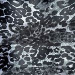 Grey Leopard Print Semi Photo 1