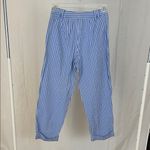 Talbots  Woman's Blue and White Striped Pants Size 8 Photo 2