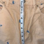 PacSun Light Tan Corduroy Pants with Blue Accents Photo 6
