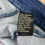 Diane Gilman NWT  Hand Painted Jean Jacket 2X Photo 9